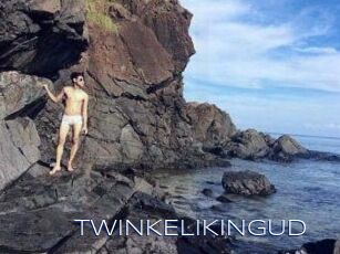 TWINKELIKINGUD