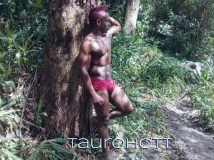 Tauro_Hott