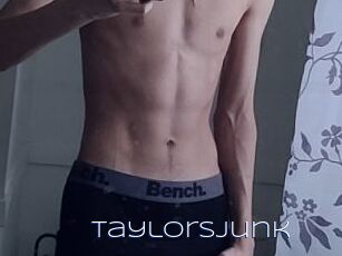 TaylorsJunk