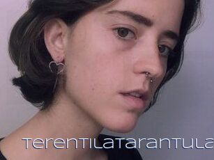 TerentilaTarantula