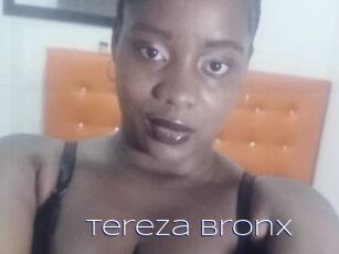 Tereza_Bronx