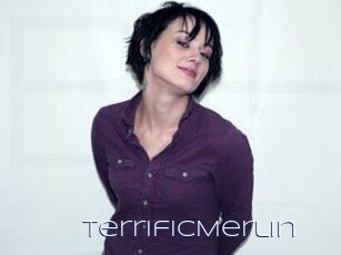 TerrificMerlin