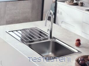 TestEsterII