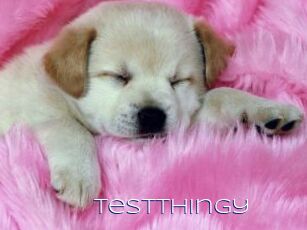 TestThingy