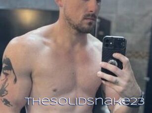 TheSolidSnake23