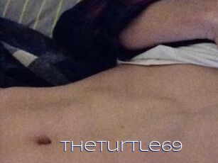 TheTurtle69