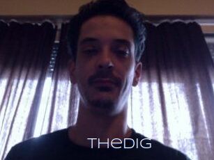 Thedig