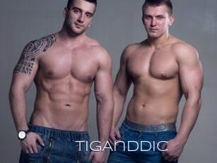 TigAndDic