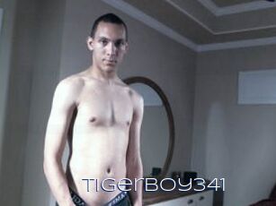 TigerBoy341