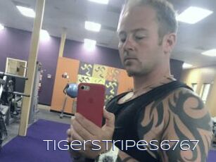 Tigerstripes6767