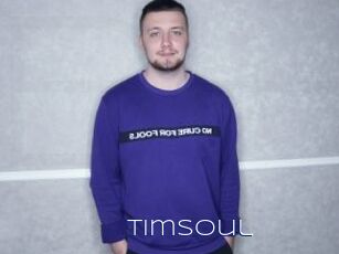 TimSoul