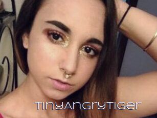 TinyAngryTiger