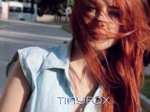 TinyFox