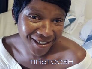 TinyToosh