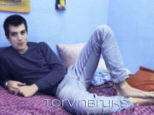 TorvinBruks