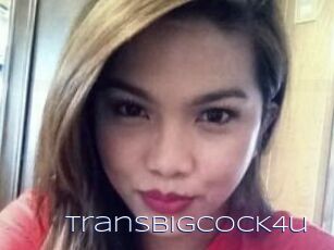 TransBigCOCK4u