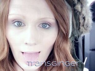 Transginger