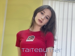 Taiteburner