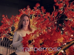 Tanderrose