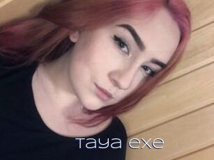 Taya_exe