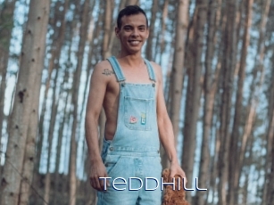 Teddhill