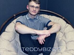 Teddybizon