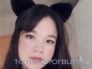 Terminatorbunny