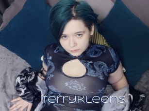 Terrykleens