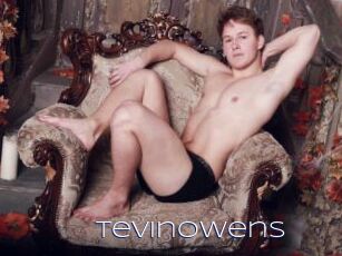 Tevinowens