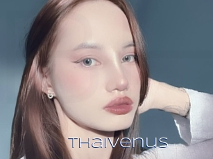 Thaivenus