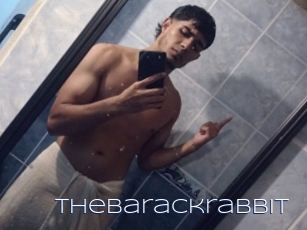 Thebarackrabbit