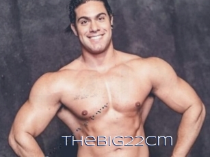 Thebig22cm