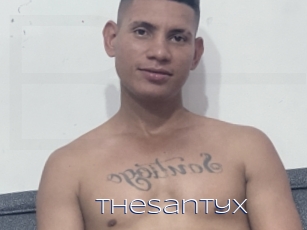 Thesantyx