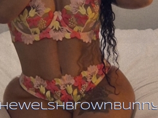 thewelshbrownbunny Blue Hot