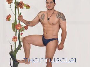 Thormuscle1