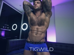 tigwild Blue Hot