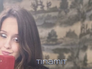 Tinamit