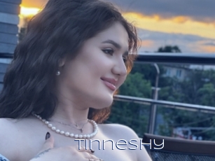 Tinneshy