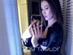 Tiny_taylor