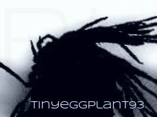 Tinyeggplant93