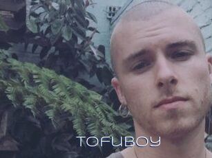Tofu_boy