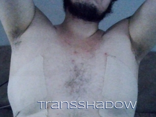 Transshadow