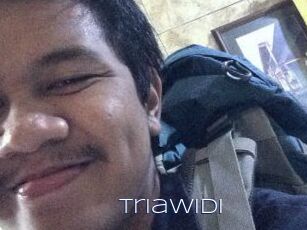 Triawidi