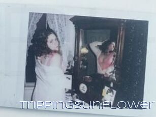 Trippingsunflower