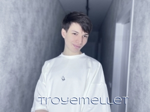 Troyemellet