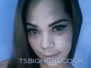 Tsbigheadcock