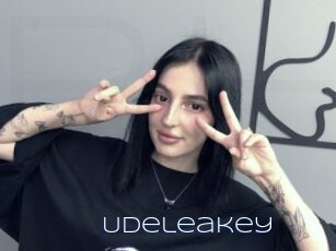 Udeleakey