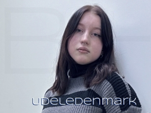 Udeledenmark