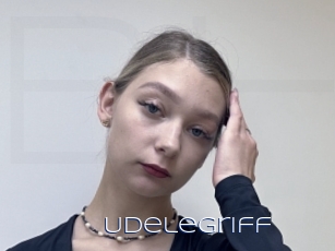 Udelegriff