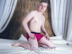 Urnicepitt